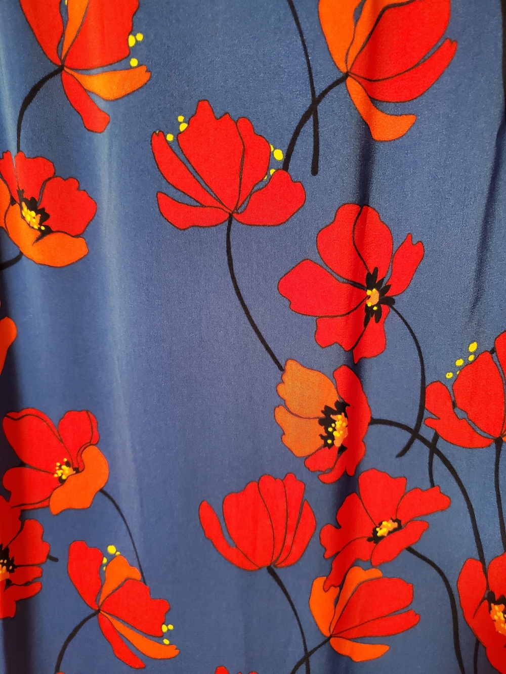41 Hawthorn Blue Dress with Red Floral Print - Picture 7 of 9